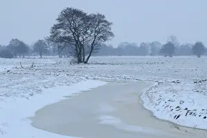 Winter Scenery Prints: Winter landscape