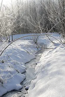 Winter Landscape Prints: Winter landscape