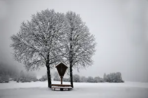 Deserted Winter Scene Prints: Winter landscape
