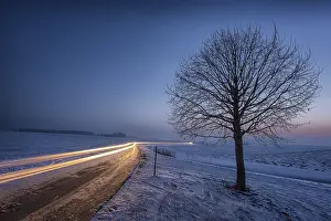 Winter Landscape Bavaria Prints: Winter landscape with bare tree
