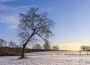 Winter Landscape Berlin Prints: Winter landscape, fields and fields in Berlin Lubars