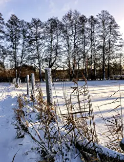 Berlin Winter Landscape Prints: Winter landscape, fields and fields in Berlin Lubars