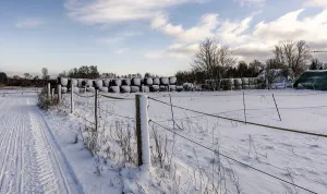 European Winter Landscape Photography Prints: Winter landscape, fields and fields in Berlin Lubars