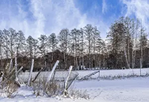 Winter Landscape Berlin Prints: Winter landscape, fields and fields in Berlin Lubars