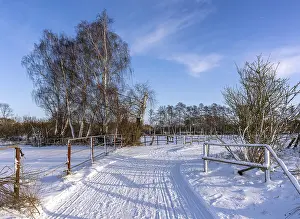 Winter Landscape Berlin Prints: Winter landscape, fields and fields in Berlin Lubars