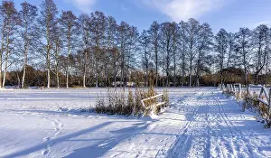 Berlin Winter Landscape Prints: Winter landscape, fields and fields in Berlin Lubars