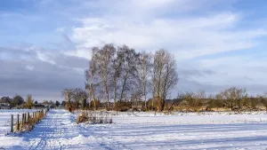 European Winter Scenery Prints: Winter landscape, fields and fields in Berlin Lubars