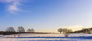 Berlin Winter Landscape Prints: Winter landscape, fields and fields in Berlin Lubars