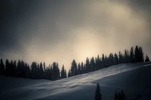Atmospheric Winter Landscape Prints: Winter mountain forest in the backlight