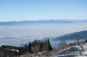 Wintry Nature Photography Prints: Winter panoramic landscape with trees