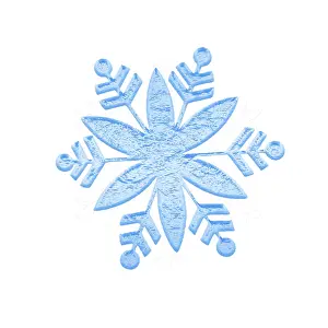 Deserted Winter Scene Prints: Winter snowflake on white background