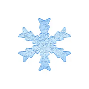 Deserted Winter Scene Prints: Winter snowflake on white background