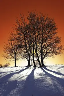 Snow Capped Mountains Prints: Winterabend