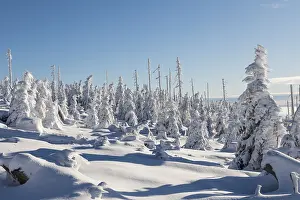 Empty Frozen Wilderness Prints: Winterlandschaft
