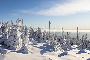 No People Winter Scenery Prints: Winterlandschaft