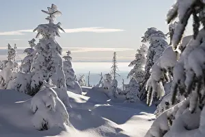 Uninhabited Frozen Wilderness Prints: Winterlandschaft