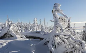 Empty Snowy Mountains Prints: Winterlandschaft