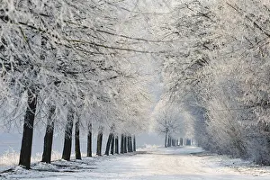 Winter Travel Photography Prints: WinterTag