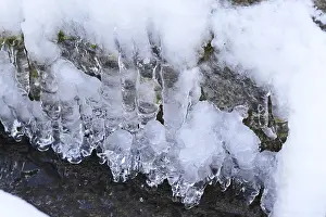 Winter In Germany Prints: Wintertime, ice, Germany