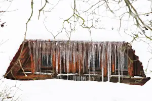 Central European Winter Prints: Wintertime, ice, Germany