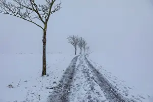 German Countryside Scenery Prints: Wintry landscape at diffuse light in Germany