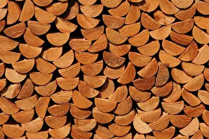 Firewood Stack Prints: Wood stack, impregnated pickets