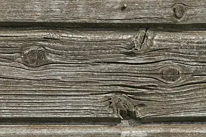 Wood Pattern Design Prints: Wood structure