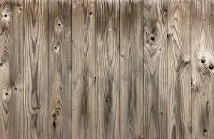 Wood Texture Prints: Wood texture with natural patterns