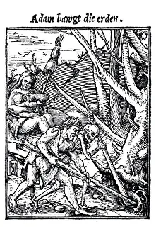 Hans Holbein Younger Artwork Prints: Woodcut, The Consequences of the Fall