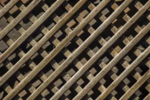 Wooden Background Texture Prints: Wooden surface as a solid background texture
