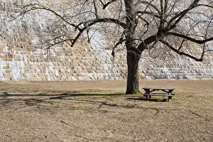 Bare Tree Landscape Photography Prints: Wooden table under bare tree