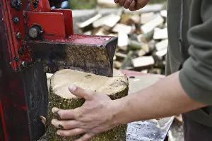 Firewood Production Prints: Worker making firewood with a log splitter