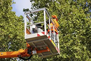 Construction Equipment Use Prints: Workers on the work platform pruning or maintaining trees