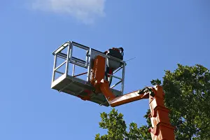 Tree Pruning Prints: Workers on the work platform pruning or maintaining trees