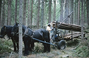 Scandinavian Countryside Landscape Prints: Working in the forest in the 1970s