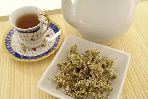 Alternative Medicine Tea Prints: Yarrow tea