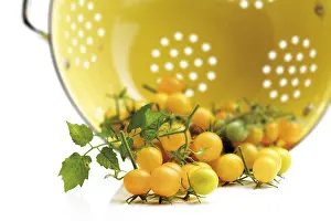 Healthy Eating Still Life Prints: Yellow cherry tomatoes