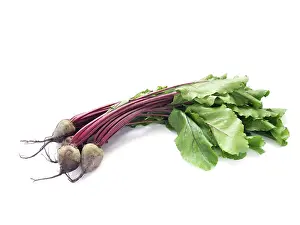 Leafy Green Vegetables Prints: Young beetroot with leaves isolated over white background
