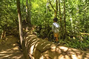 Nature Photography Canada Prints: Young boy exploring the lush rainforest