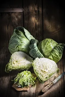 Cabbage Salad Prints: Young cabbage