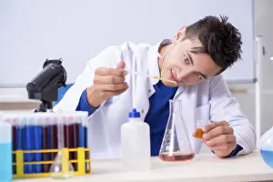 Laboratory Chemist Prints: Young chemist sitting in the lab
