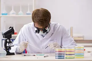 Scientific Research Prints: Young chemist working in the lab