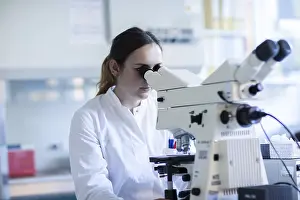 Laboratory Examination Process Prints: Young laboratory assistant with microscope and sample working in a laboratory with light microscope
