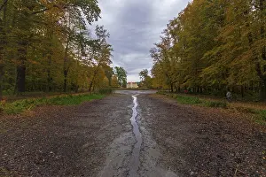 German Countryside Photo Prints: Zabeltitz