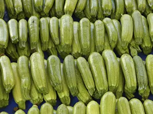 Vegetable Shop Prints: Zucchini