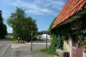 Europe Countryside Scenery Prints: Achterhoek