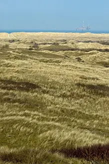 Dutch Coastline Prints: Ameland