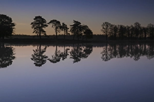 Europe Nature Reserve Prints: Appelscha