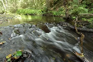 Belgian Landscape Photography Prints: Ardennen