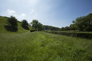 Bemelerberg Nature Reserve Print